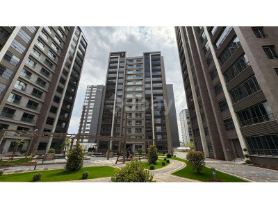 WhatsApp Image 2025-04-29 at 11.13.47.jpeg